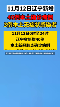 辽宁新增三例本土确诊病例，均在大连地区辽宁新增3例本土确诊 均在大连