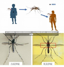 关于近期我国31省份新增5例病例的探讨——以北京新增2例为例31省份新增5例:北京2例