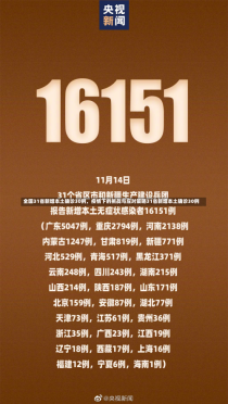 全国31省新增本土确诊30例，疫情下的挑战与应对策略31省新增本土确诊30例